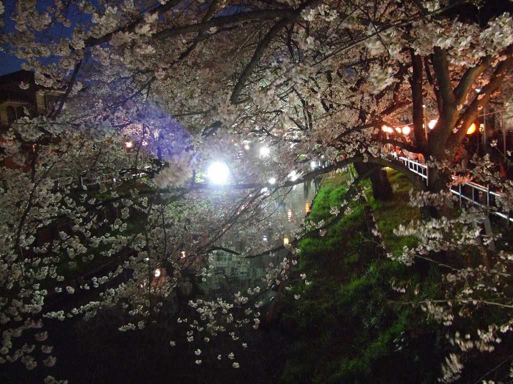 Àî±Û¡¦½Õ¤Î¿·²Ï´ßÀî¤Î½®Í·¤Ó¡Ê2012¡Ë