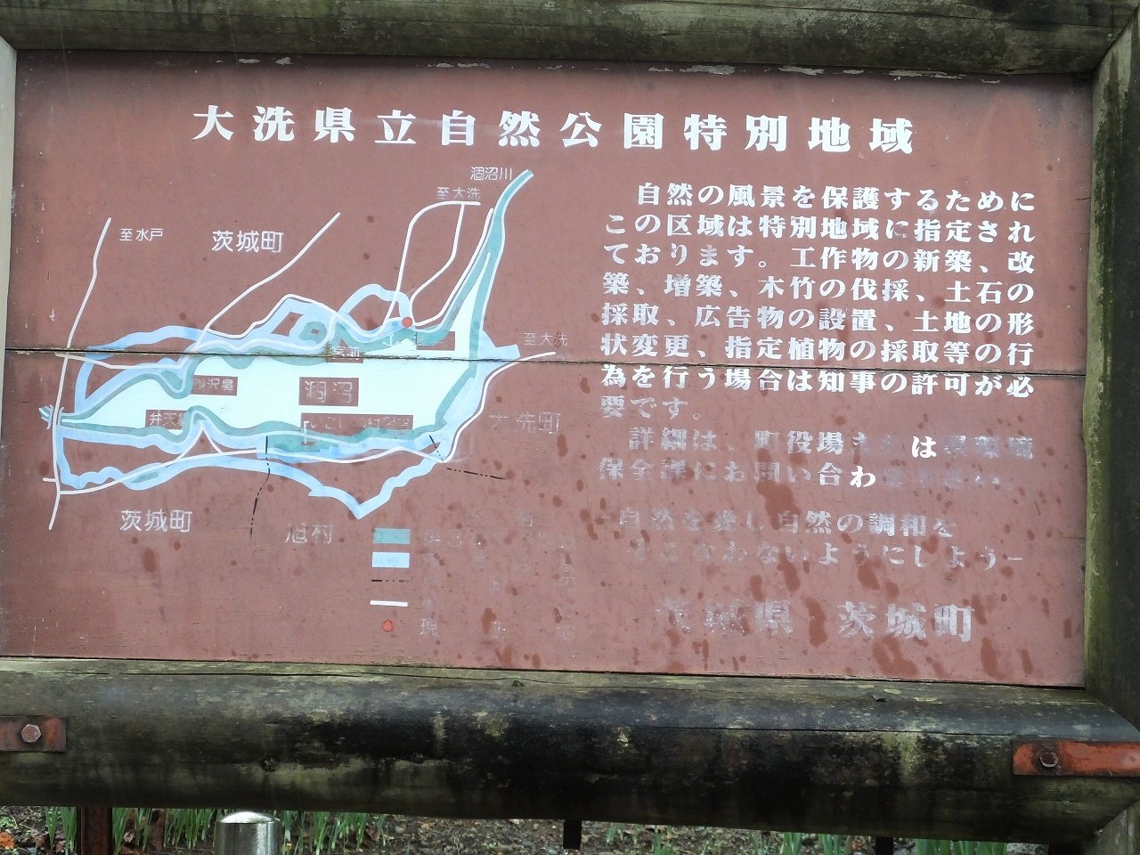s-DSCF5581