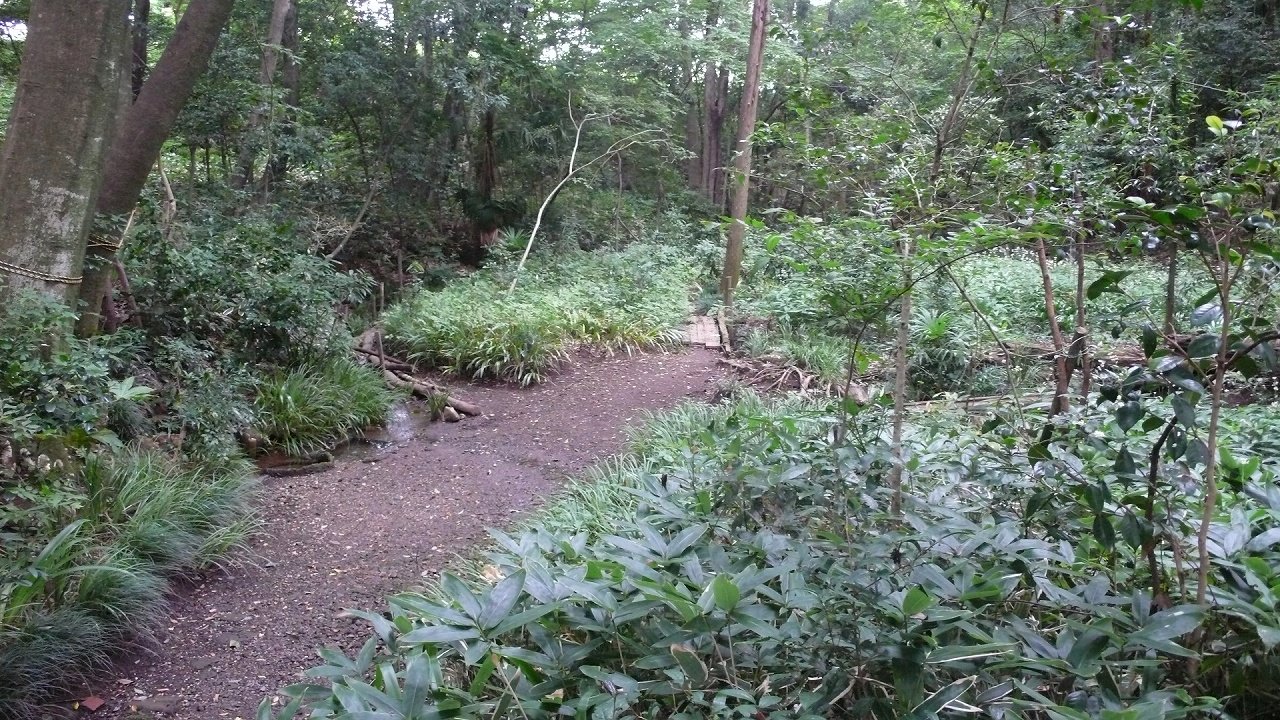 s-P1550109
