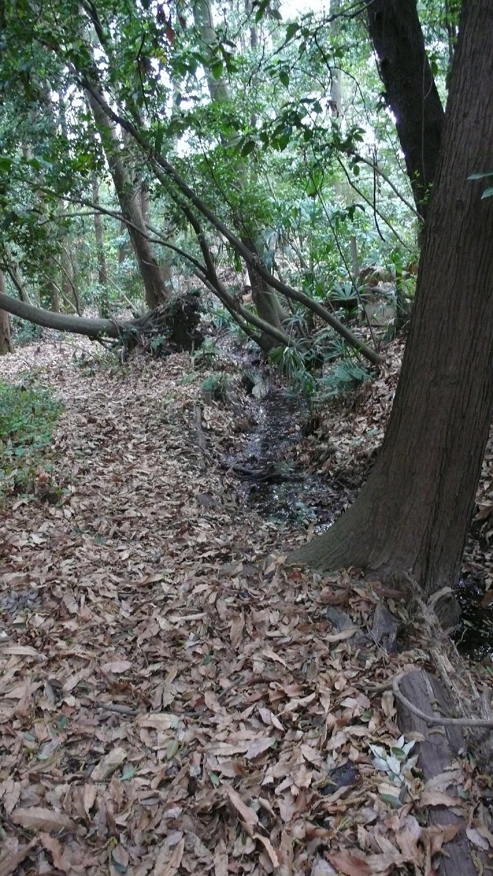 s-P1620845