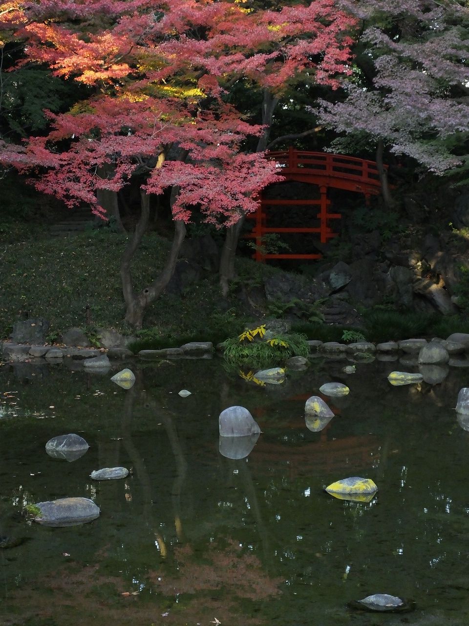 s-DSCF2914