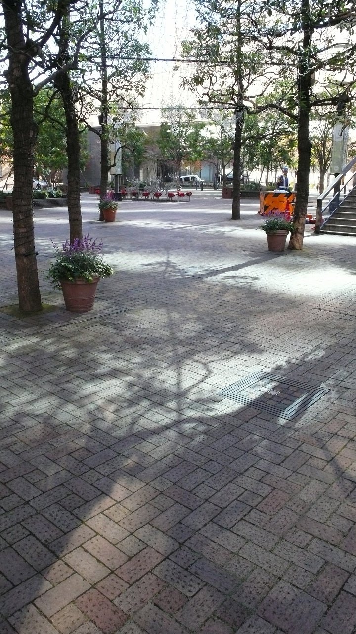 s-P1720351