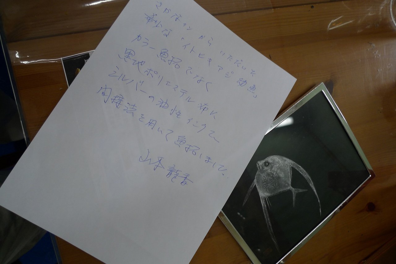 s-P1400553