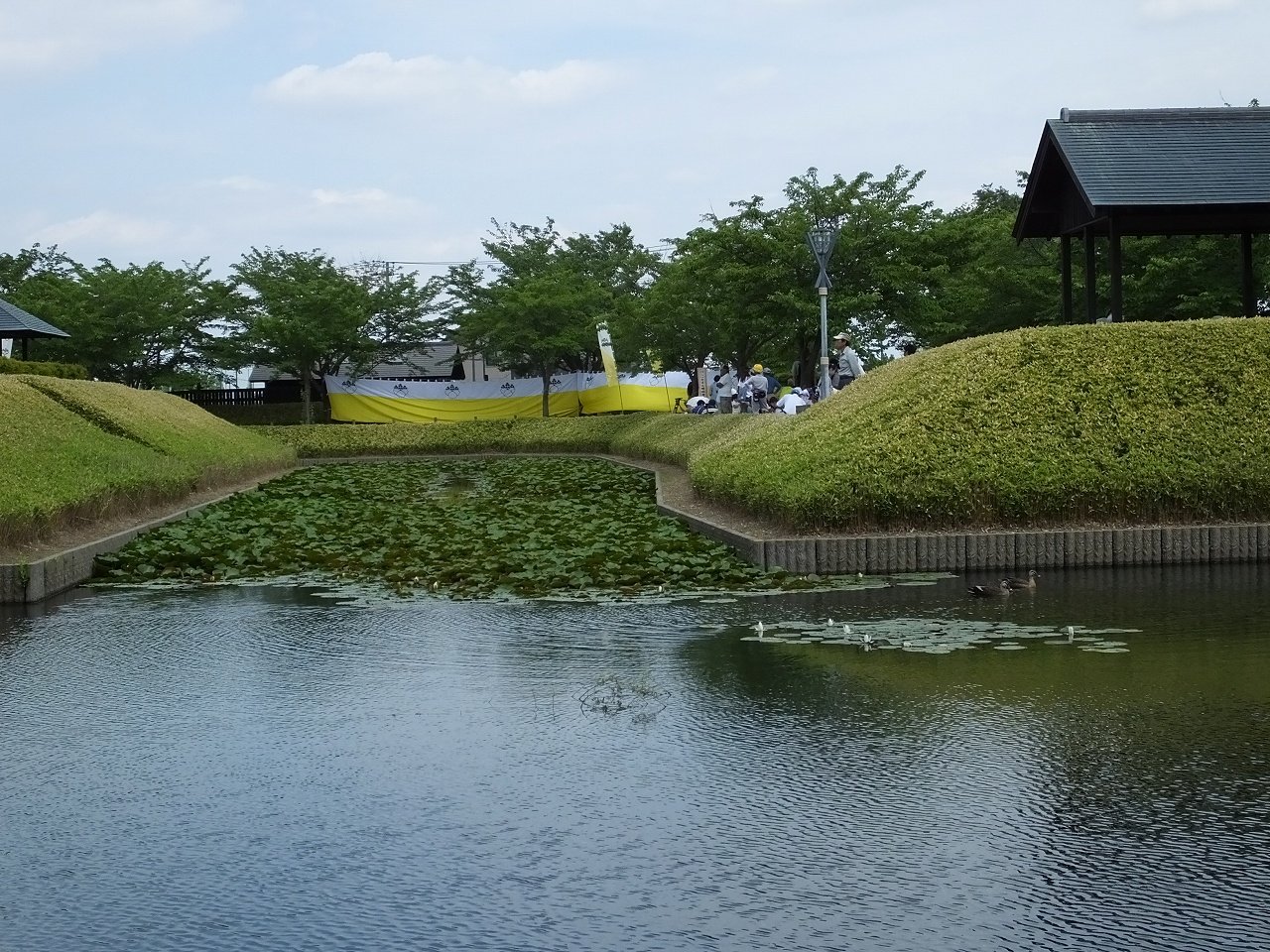 s-DSCF7069