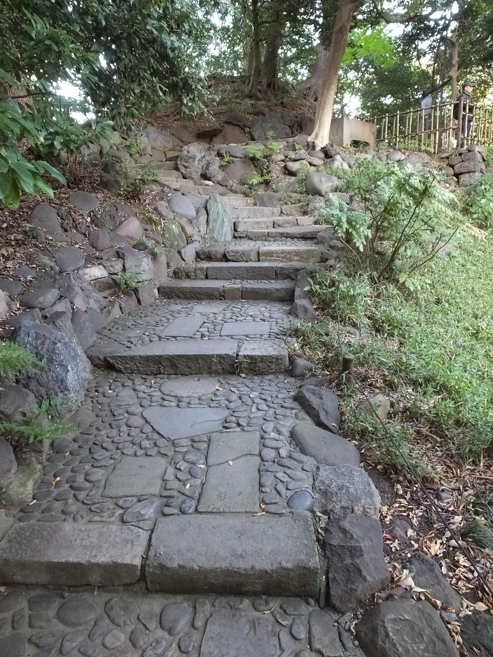 s-DSCF2926
