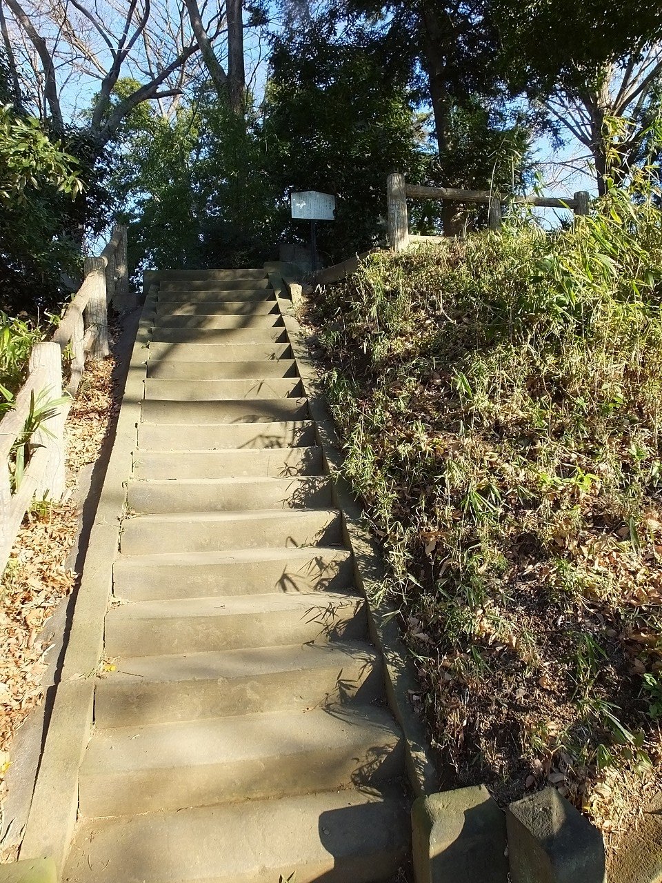 s-DSCF0433