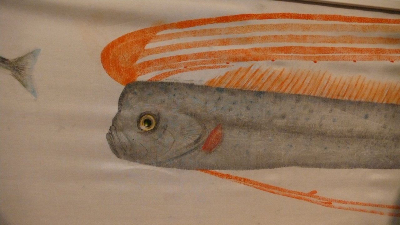 s-P1590609