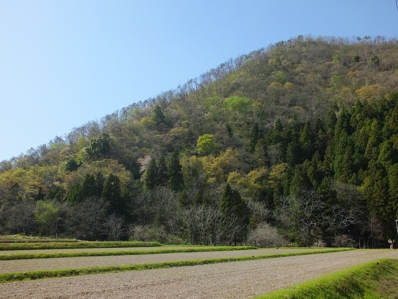 s-DSCF4867