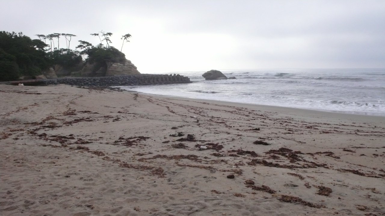 s-P1530486