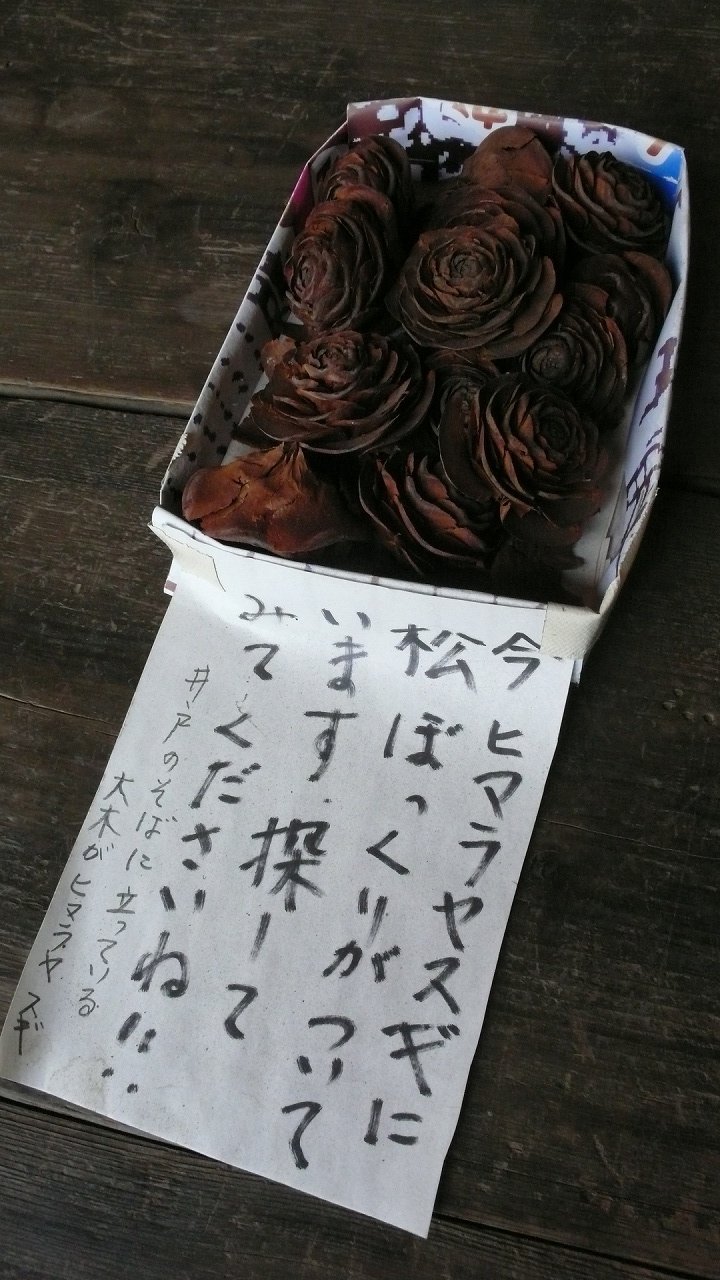 s-P1680266