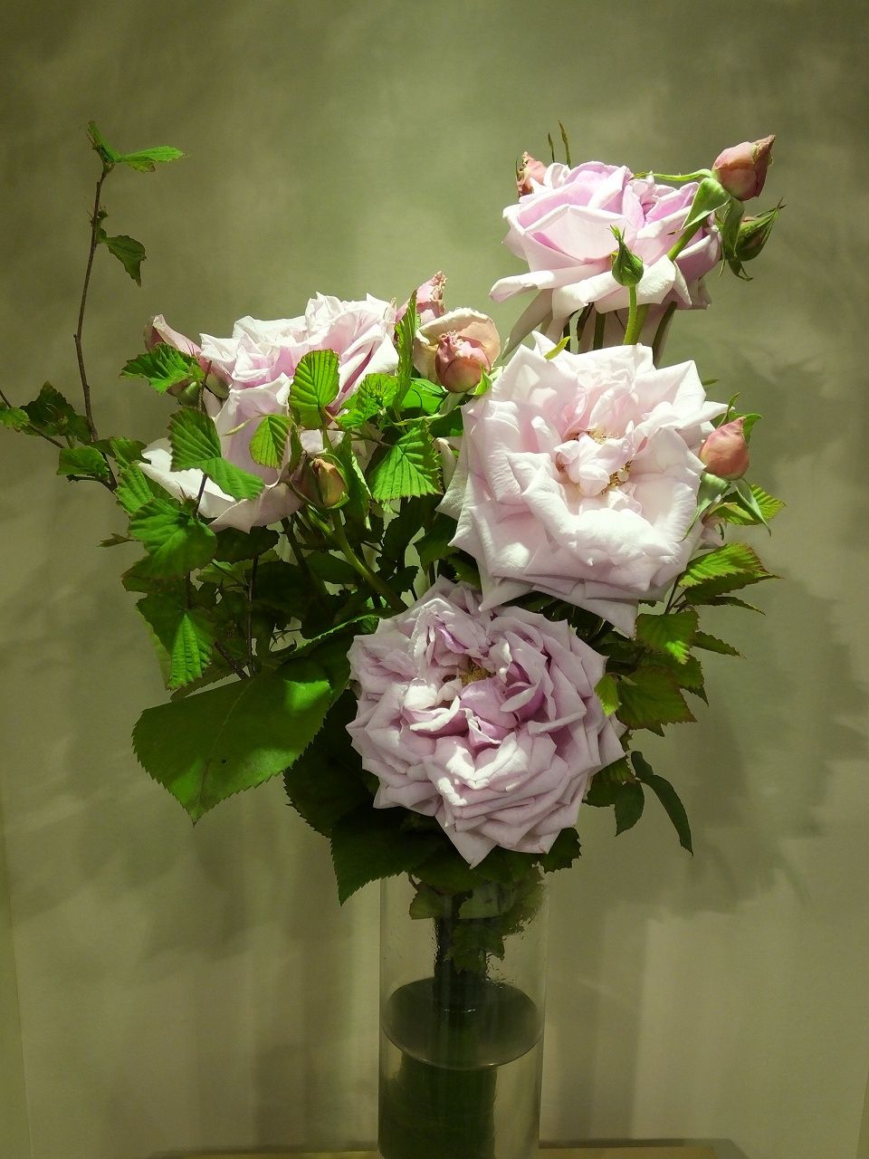 s-DSCF7559