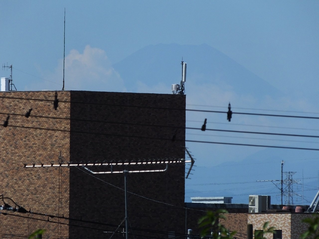 s-DSCF4016