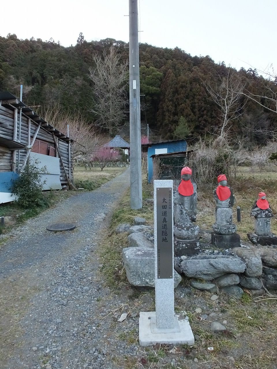 s-DSCF6234