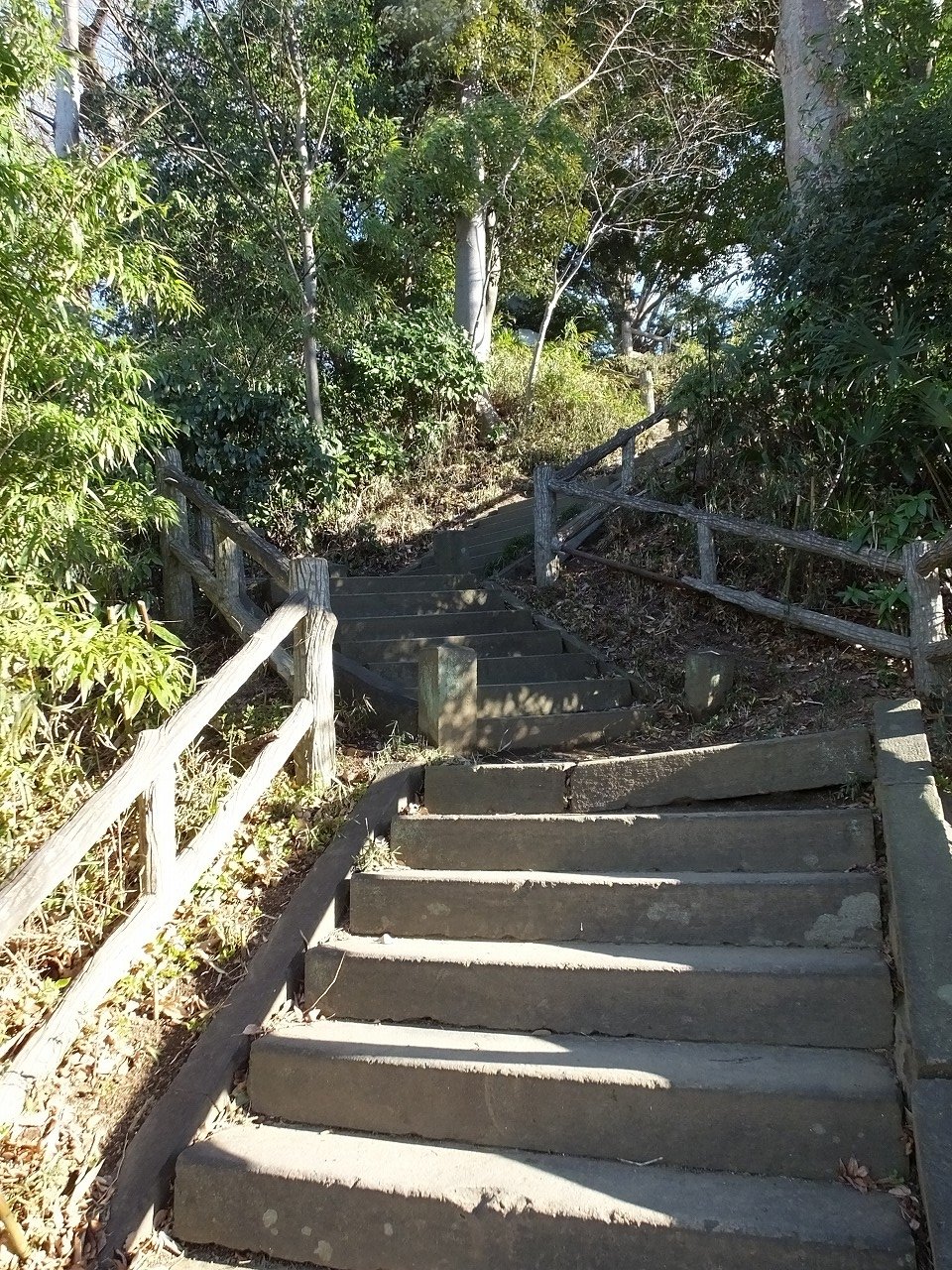 s-DSCF0432