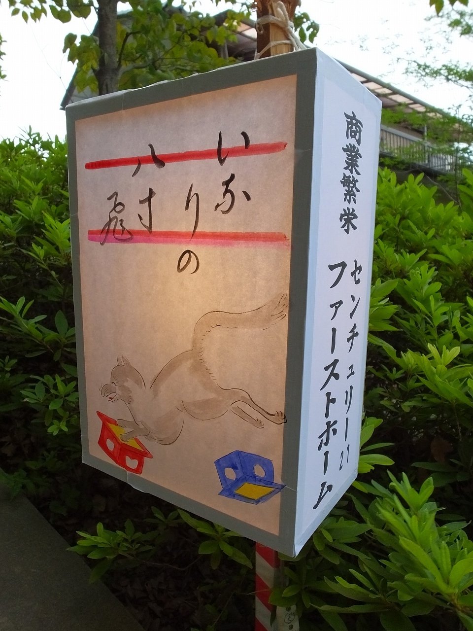 s-DSCF7453