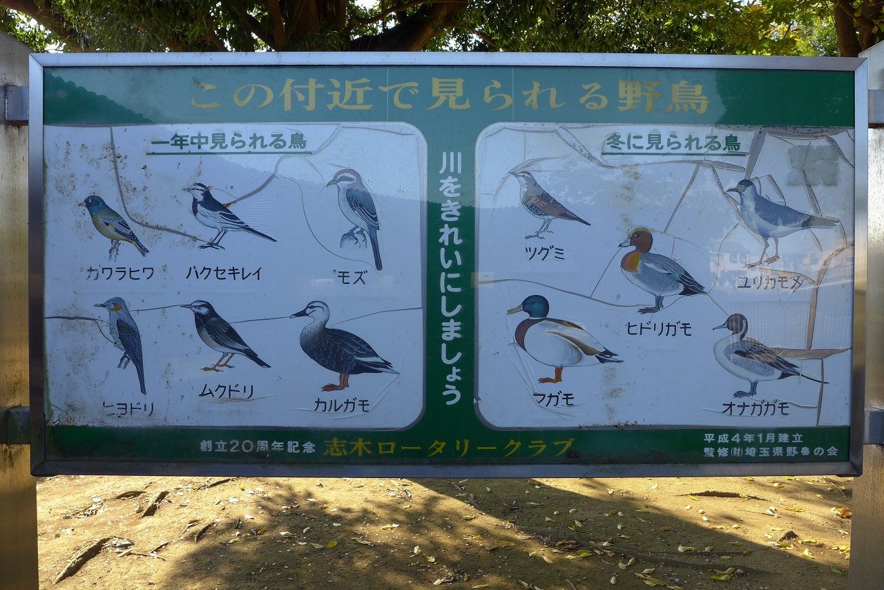 s-P1000480