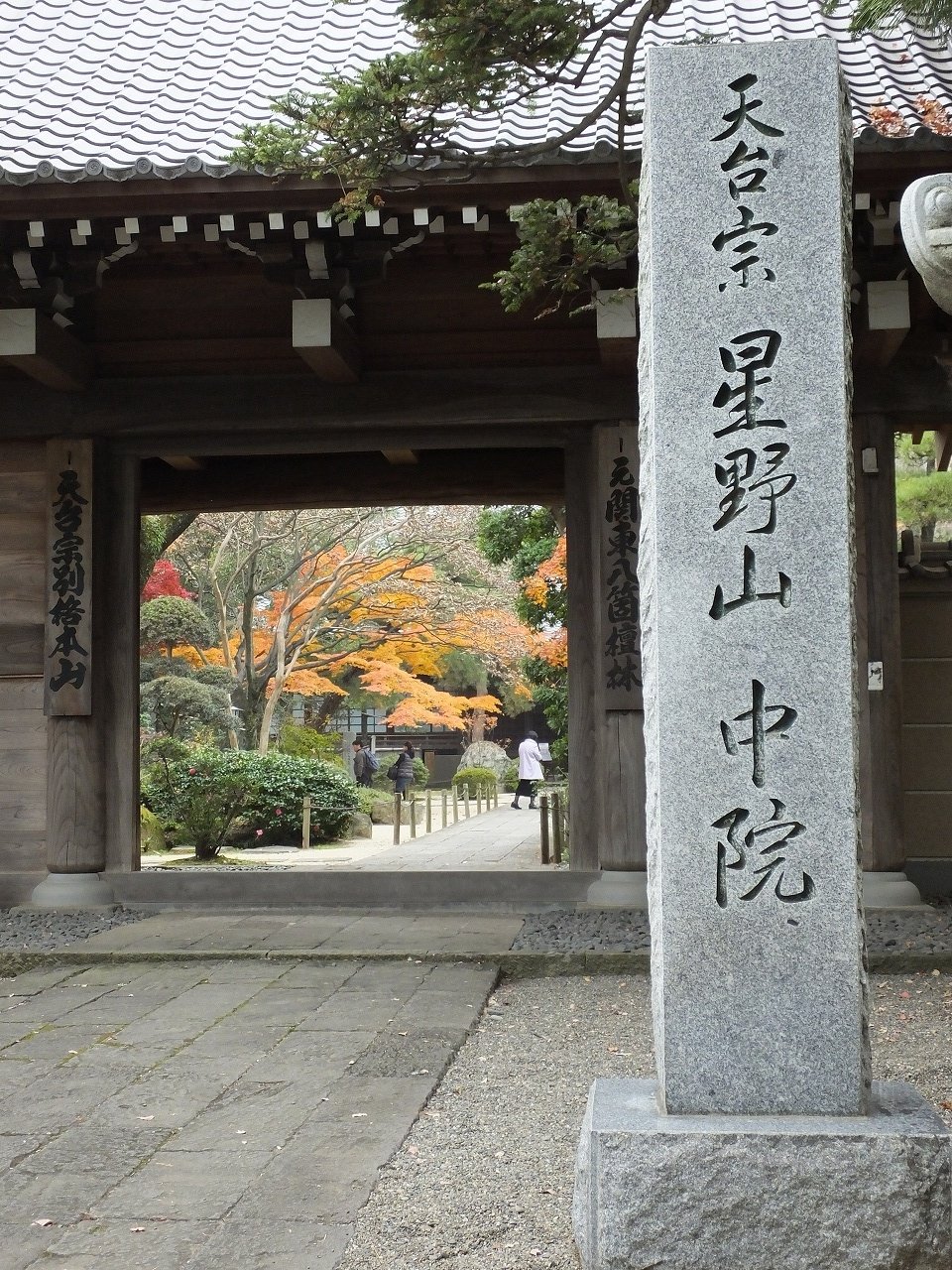 s-DSCF8277