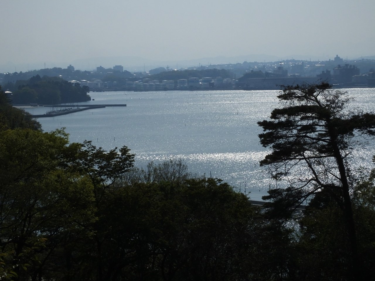 s-DSCF6949