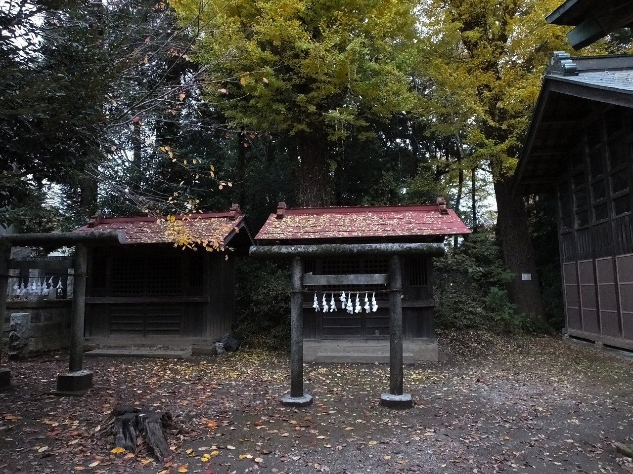 s-DSCF3469