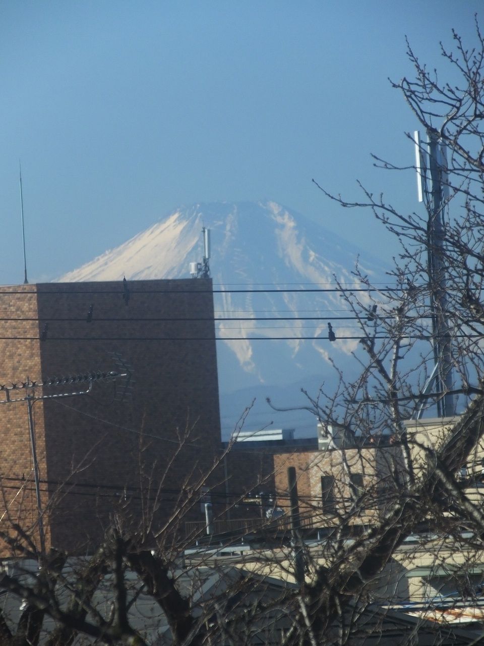 s-DSCF4049