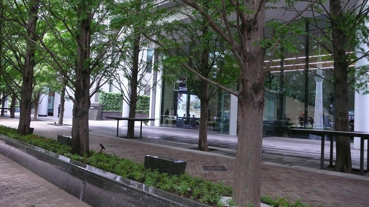 s-P1520750