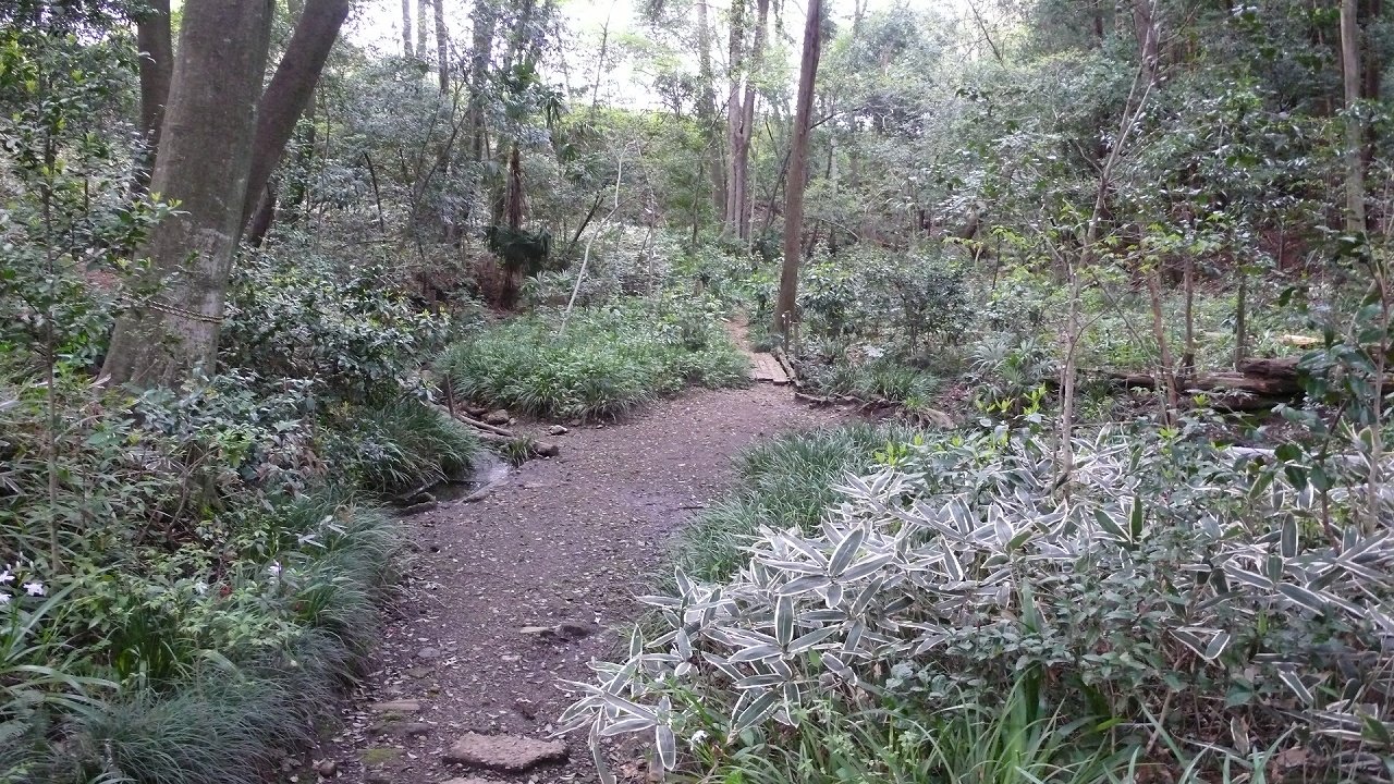 s-P1620800