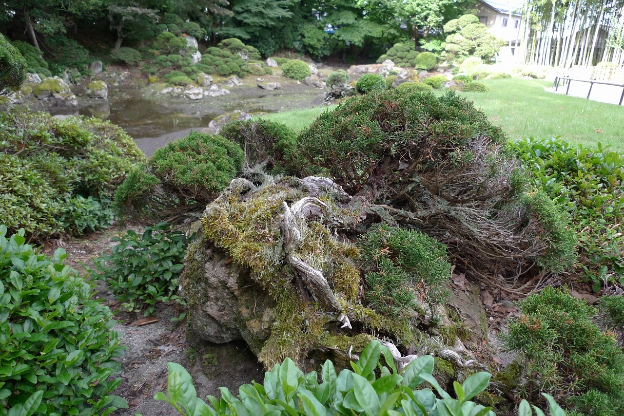 s-P1540610