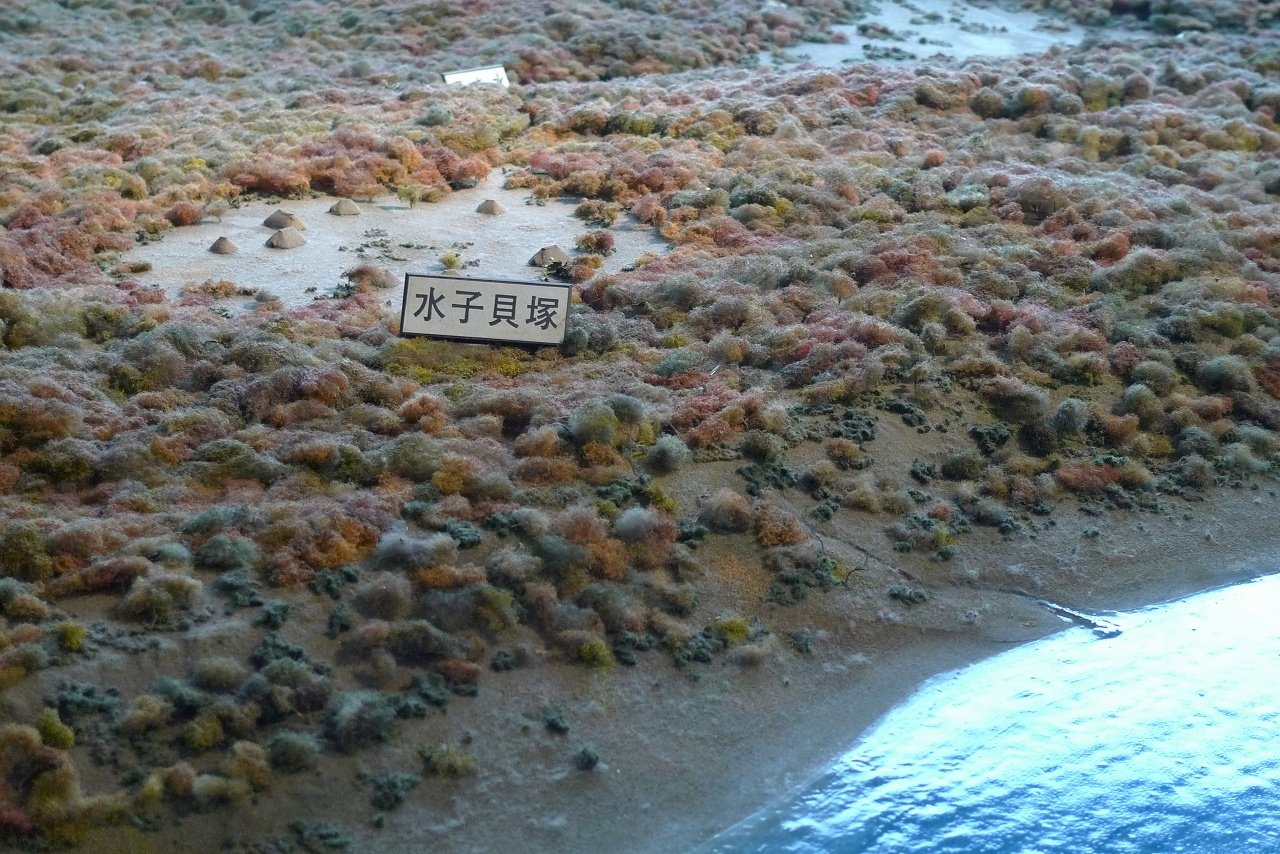 s-P1300866