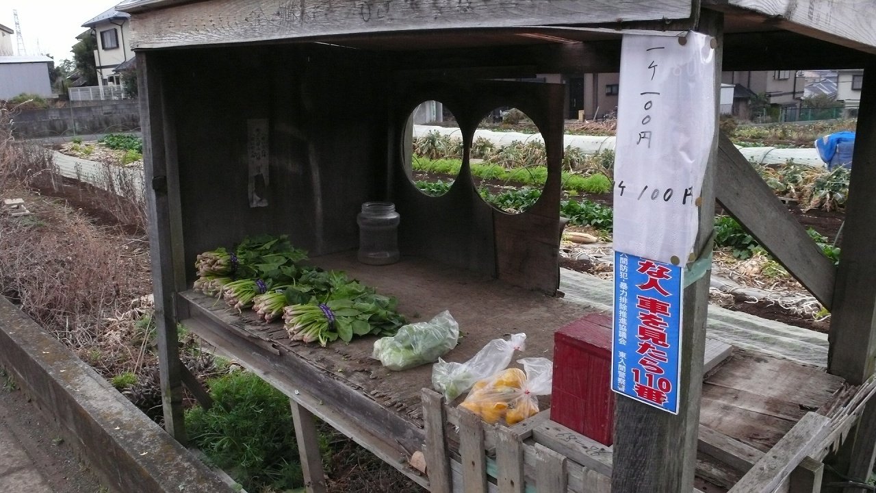 s-P1600970