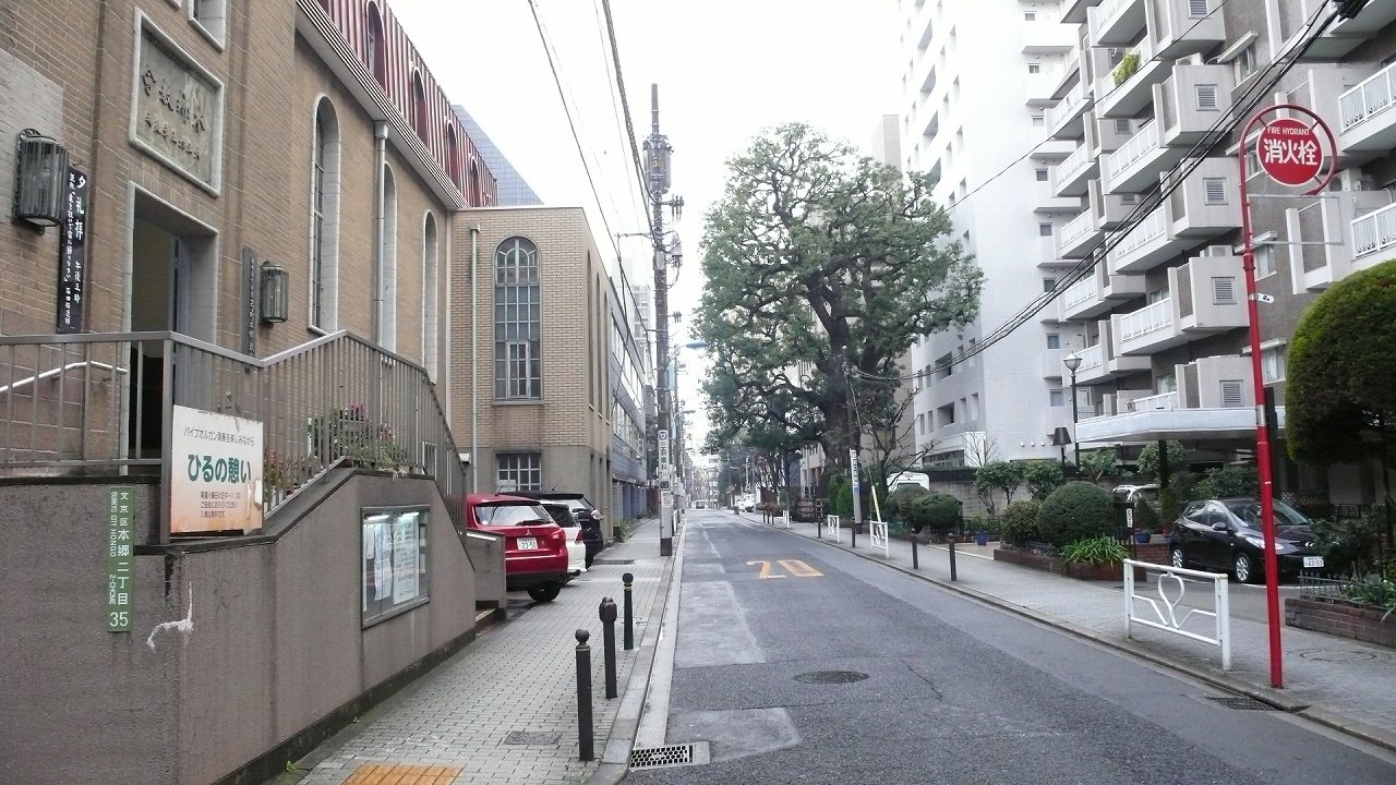 s-P1600431