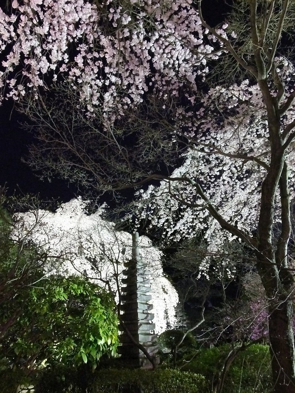 s-DSCF3358
