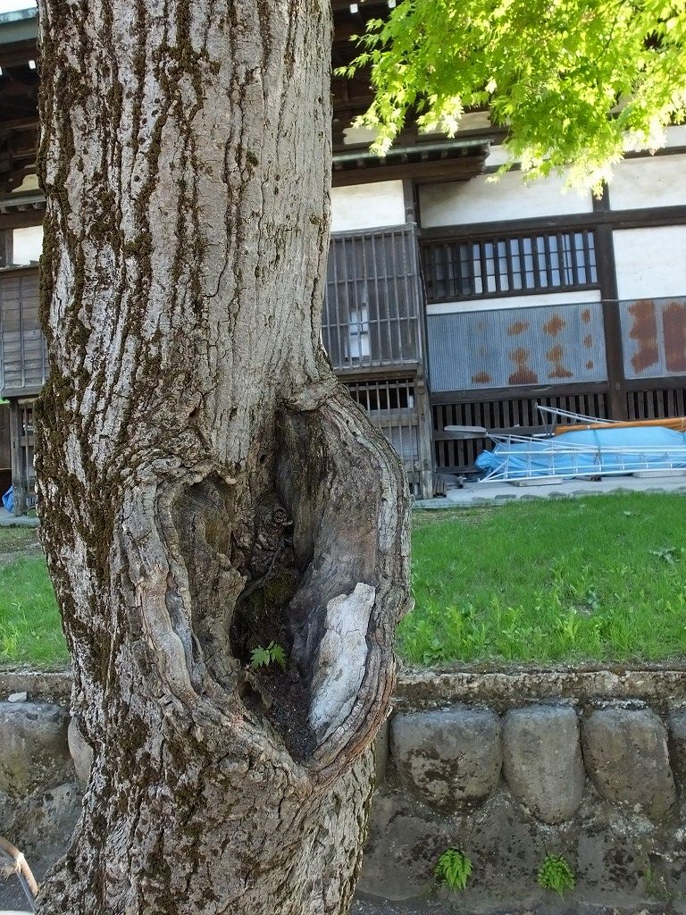 s-DSCF0460