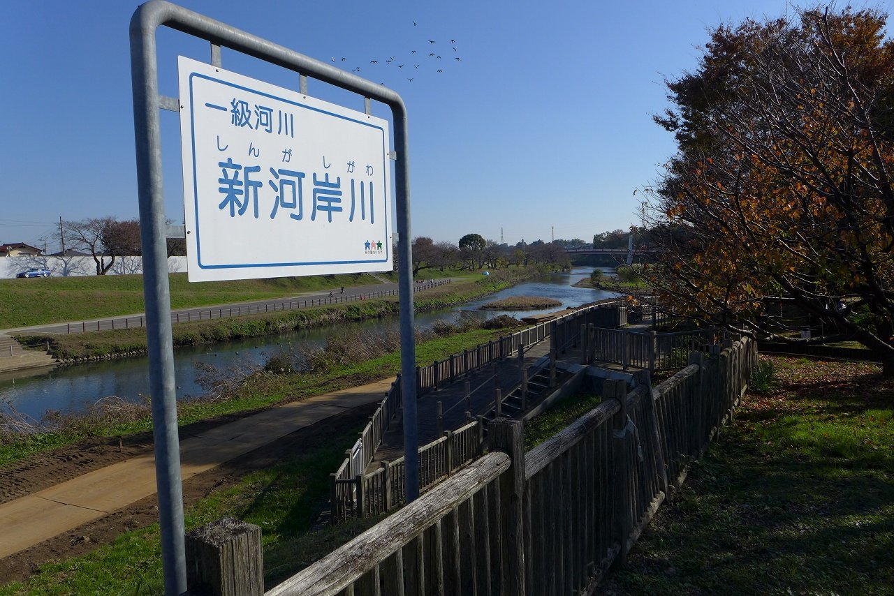 s-P1000473