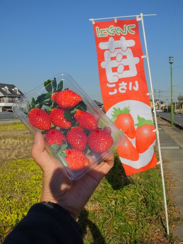 s-DSCF5232