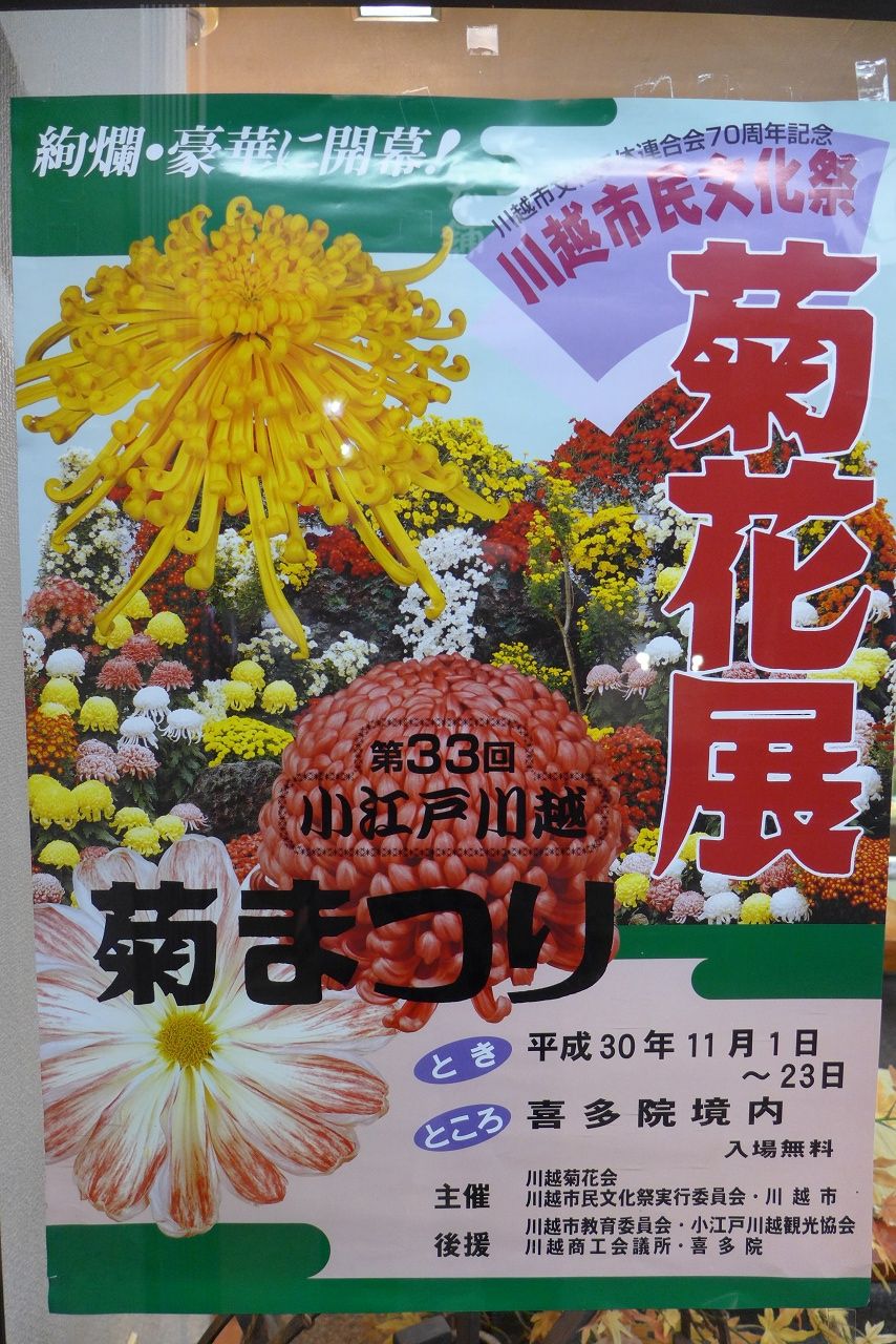 s-P1000198