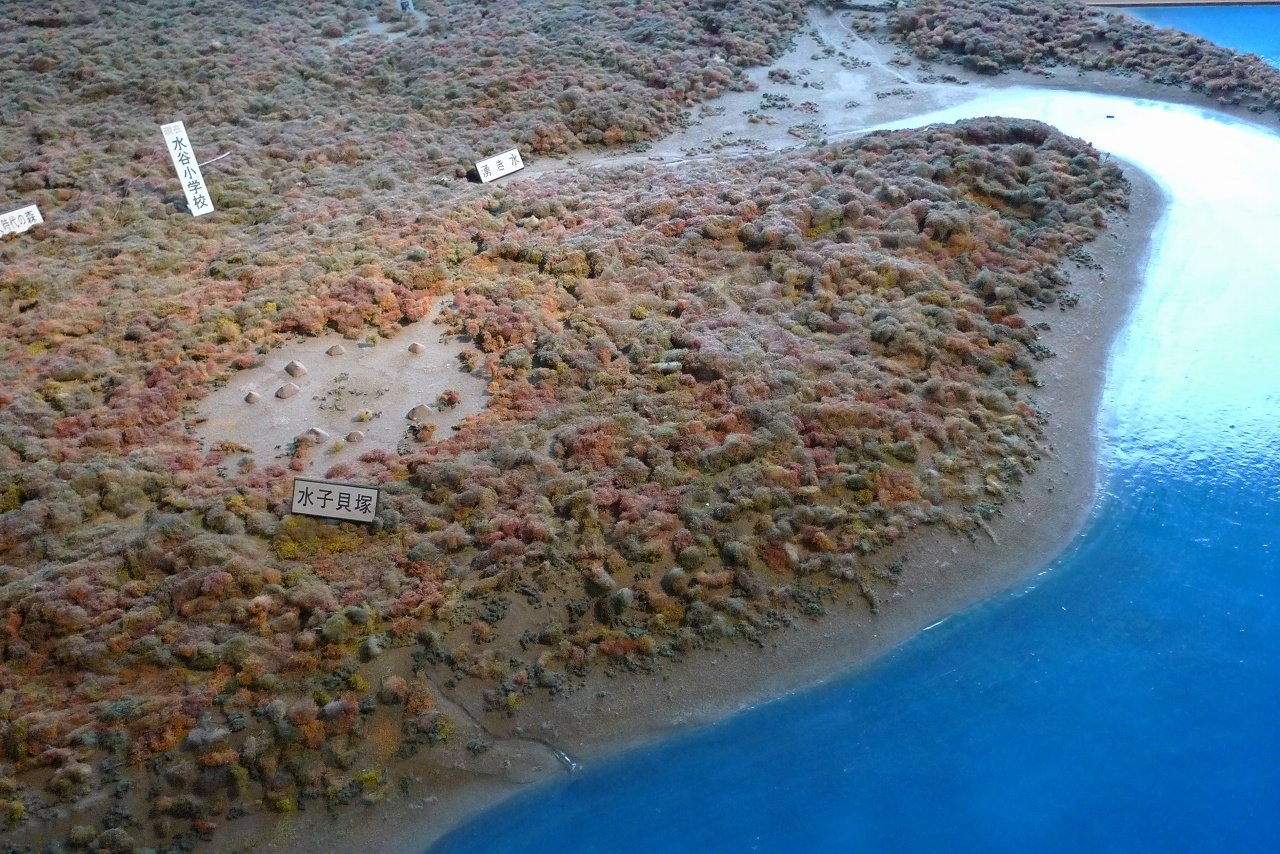 s-P1300863
