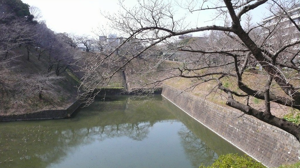 s-P1500196