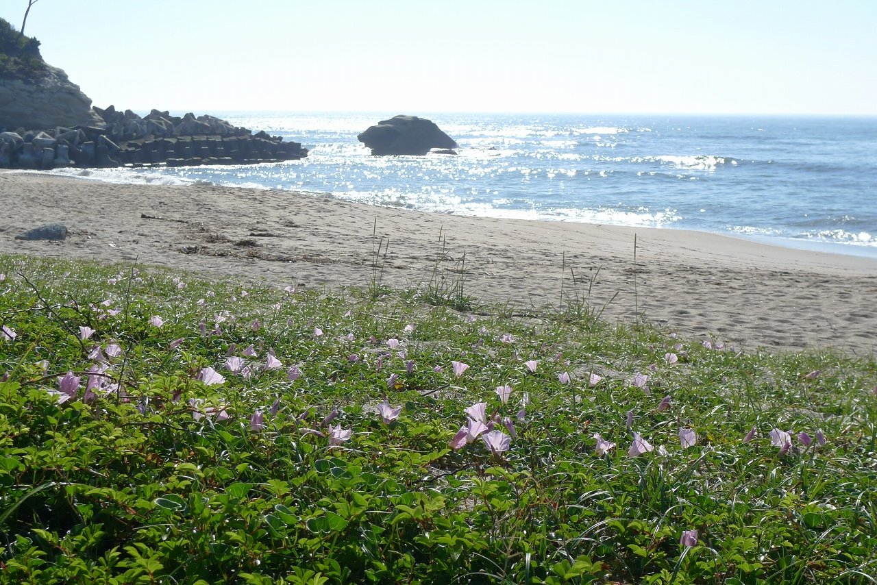 s-P1350897
