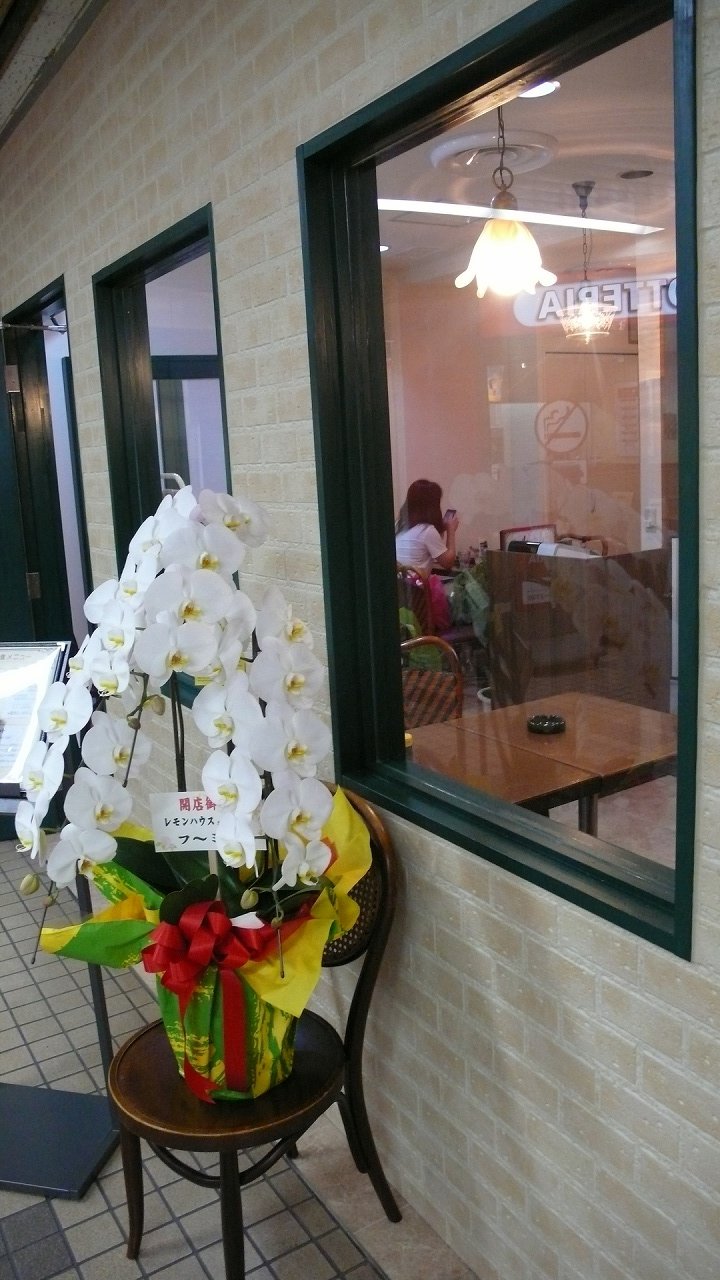 s-P1670262