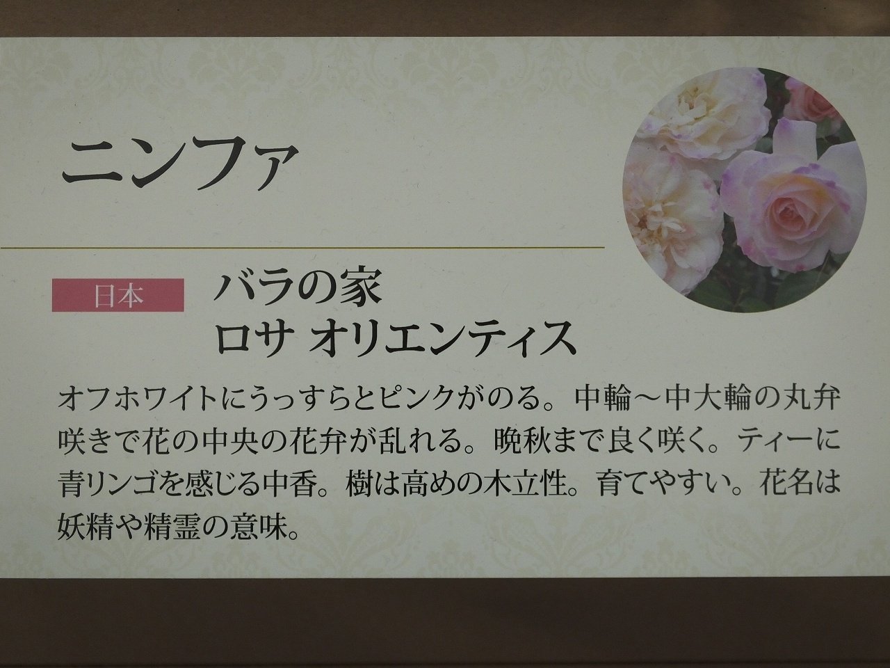 s-DSCF7610