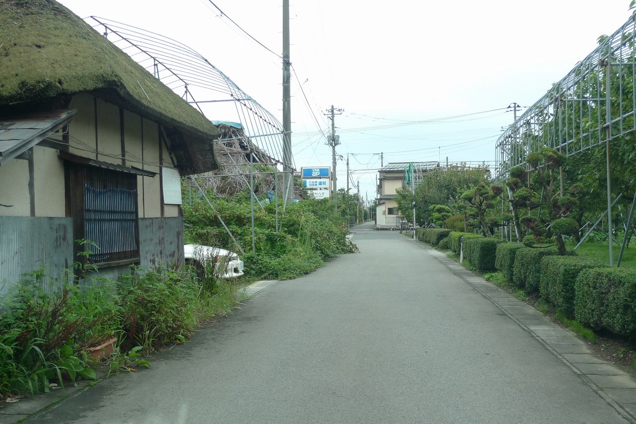 s-P1550289