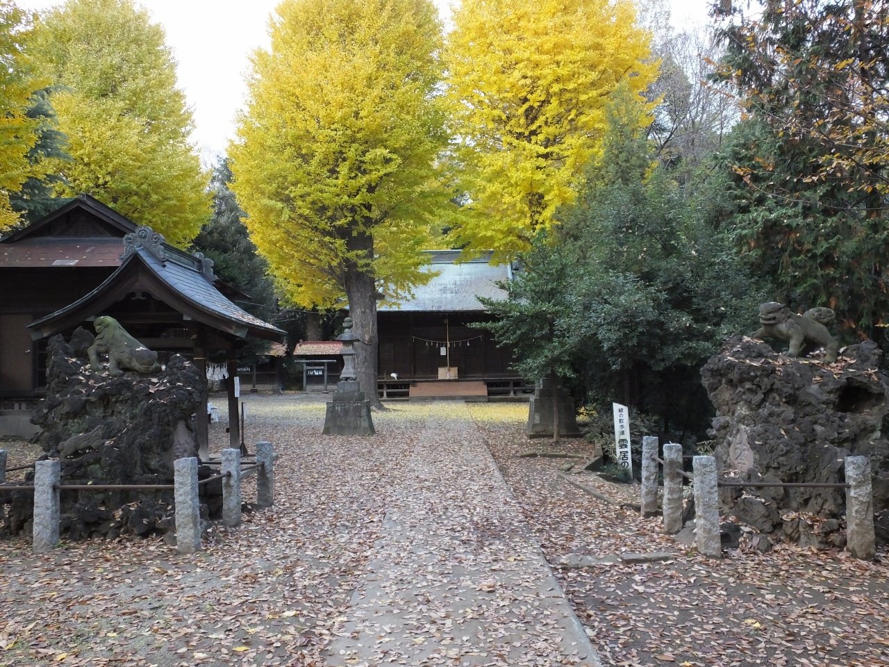 s-DSCF3482