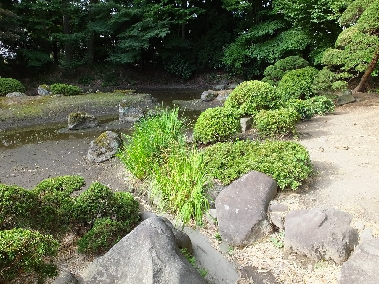 s-DSCF9742