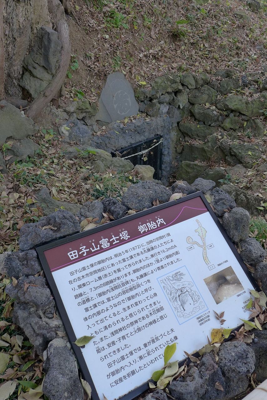 s-P1000556