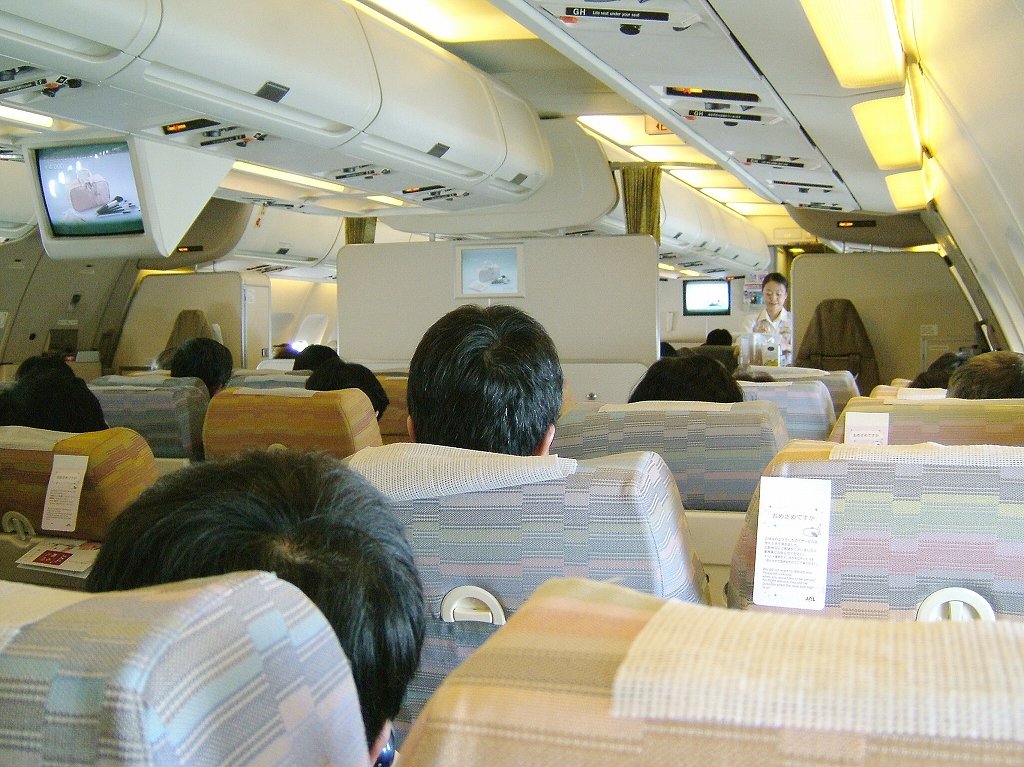 ¹õÀî²¹Àô¡Ê·§ËÜ¡¦°¤ÁÉ¡Ë2005ǯ3·î13Æü