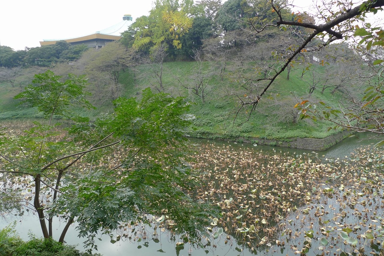 s-P1260751