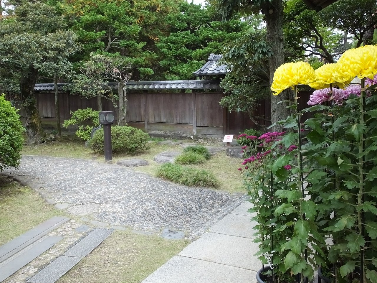 s-DSCF1528