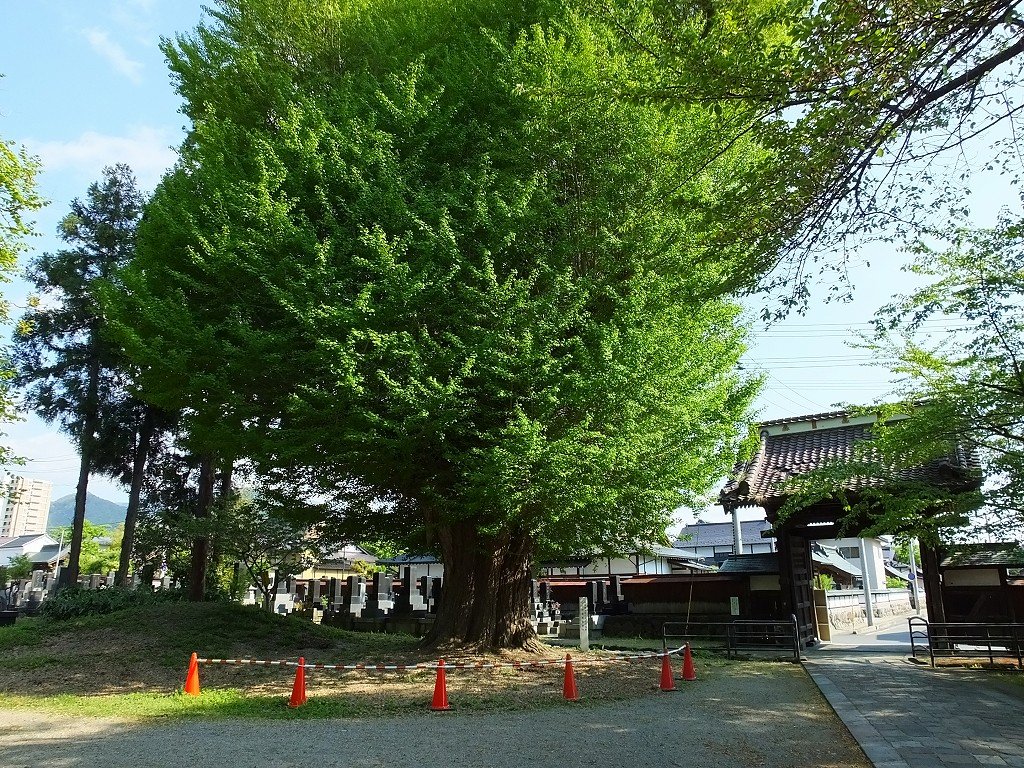 s-DSCF0500