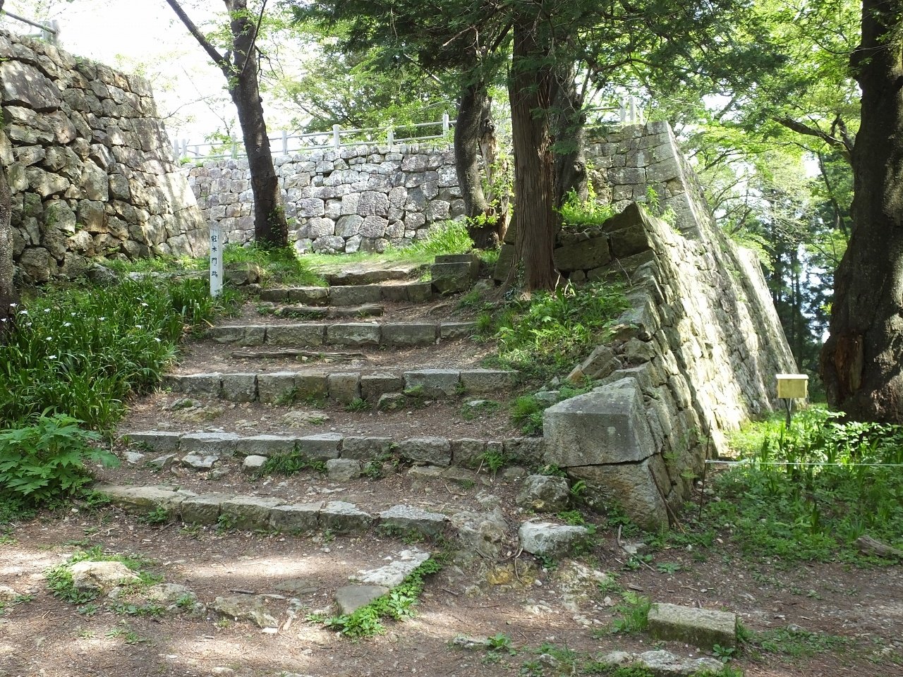 s-DSCF7301