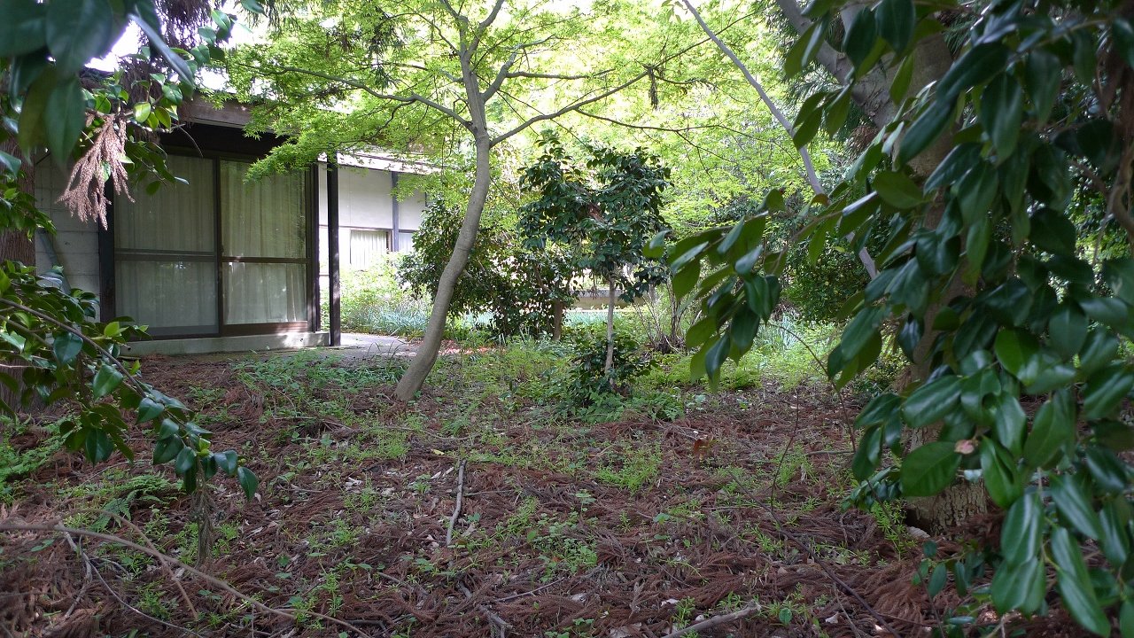 s-P1180328